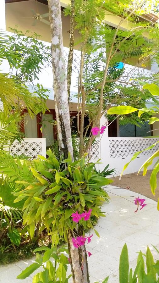 Idle Awhile Beach Hotel Негрил Екстериор снимка